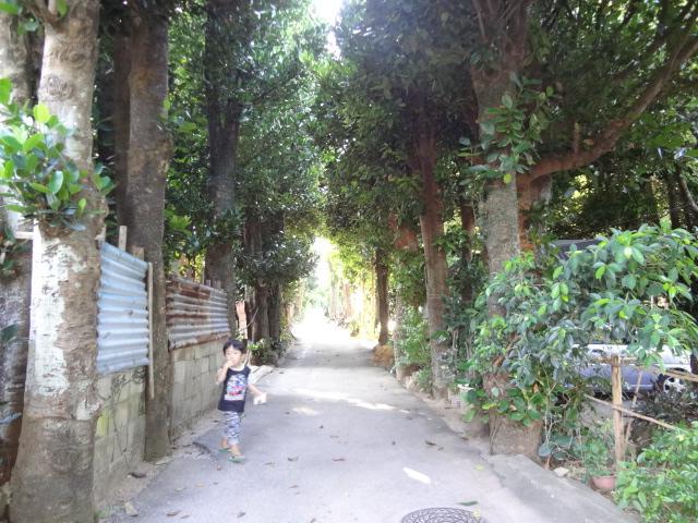 Affittacamere Bise House Motobu Esterno foto